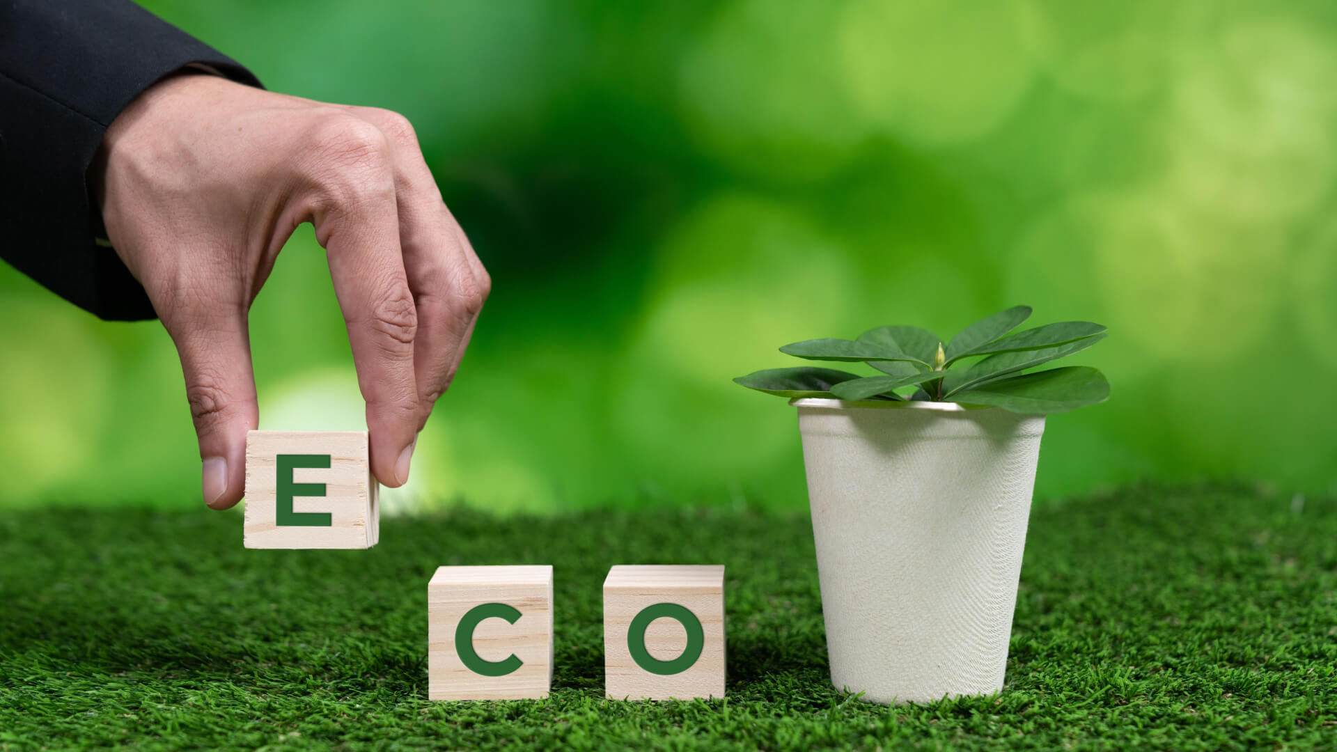ECO sustainability concept